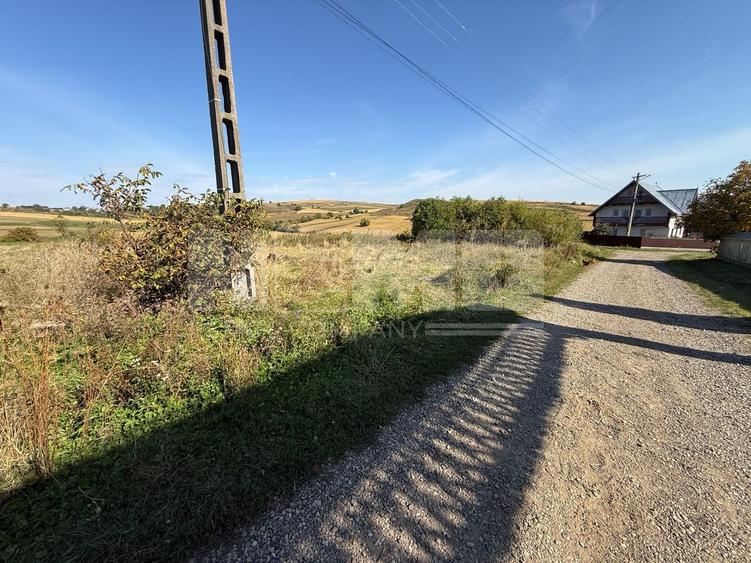 Teren Construcții intravilan de 4000 mp, în Burla