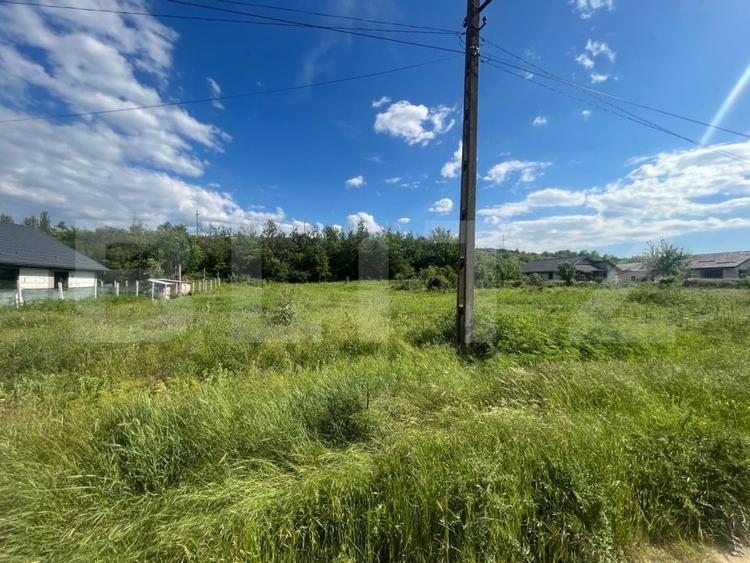 Teren Construcții intravilan de 2500 mp, în Leamna de Sus