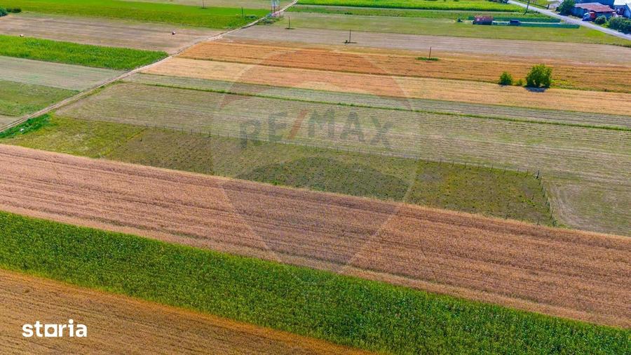 Teren de 7000 mp, în Teliu