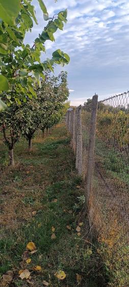 Casă cu 3 camere în Central
