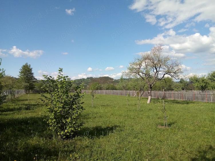 Teren intravilan la munte, in Nereju, Vrancea - 4