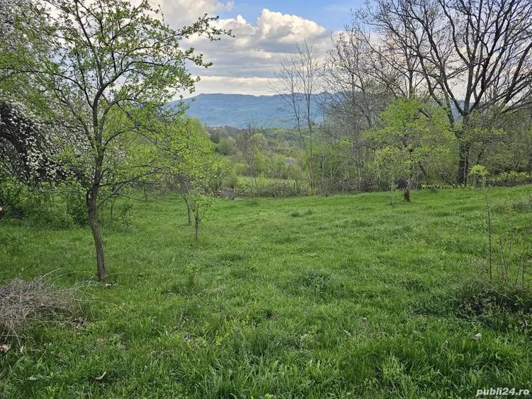 Teren de 949 mp, în Sălătrucel