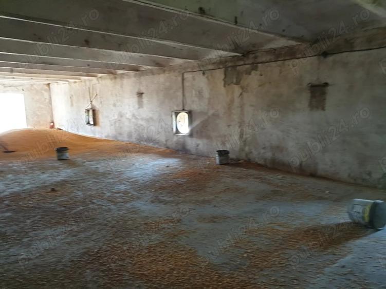 Spațiu comercial, de 30,000 mp, în Singureni