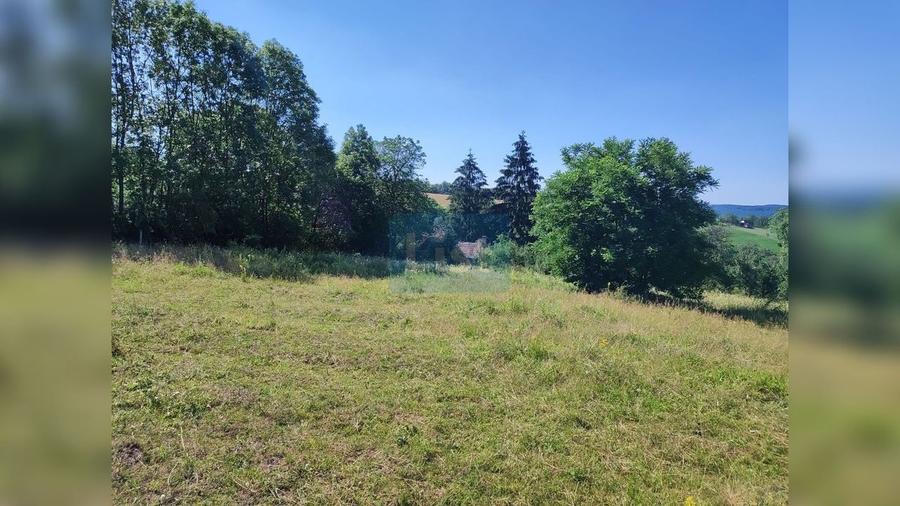 Teren Construcții intravilan de 72000 mp, în Topa Mică