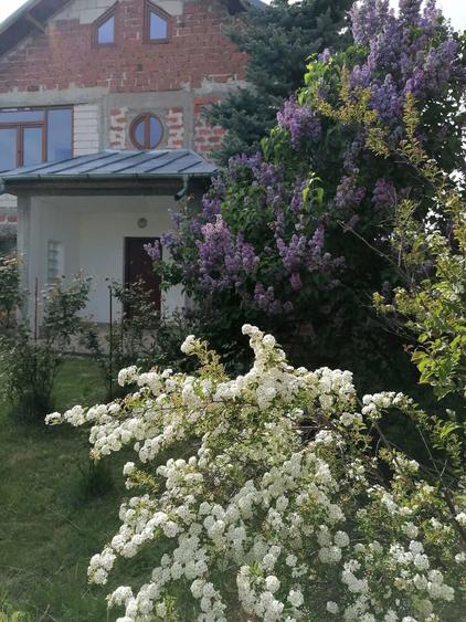 Casă cu 4 camere cu Teren 1758 Mp în Ștefănești