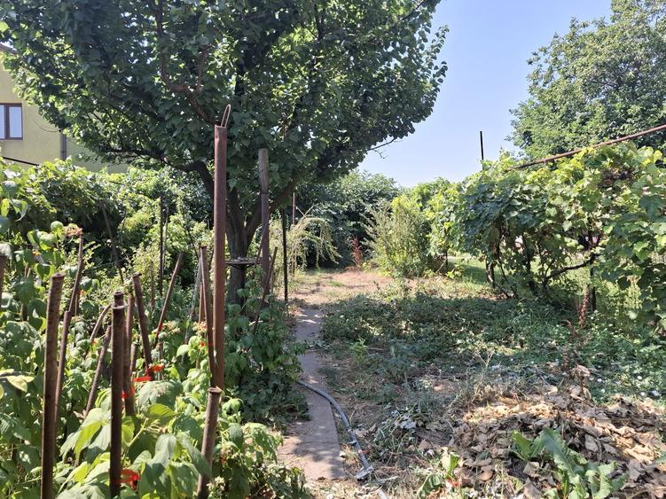 Casă individuală cu 4 camere cu Teren 400 Mp în Viile Noi