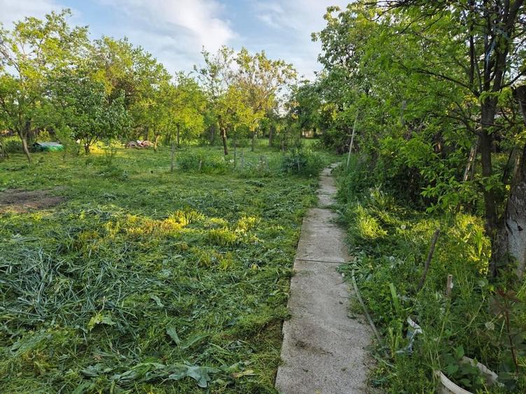 Garsonieră în Moșteni
