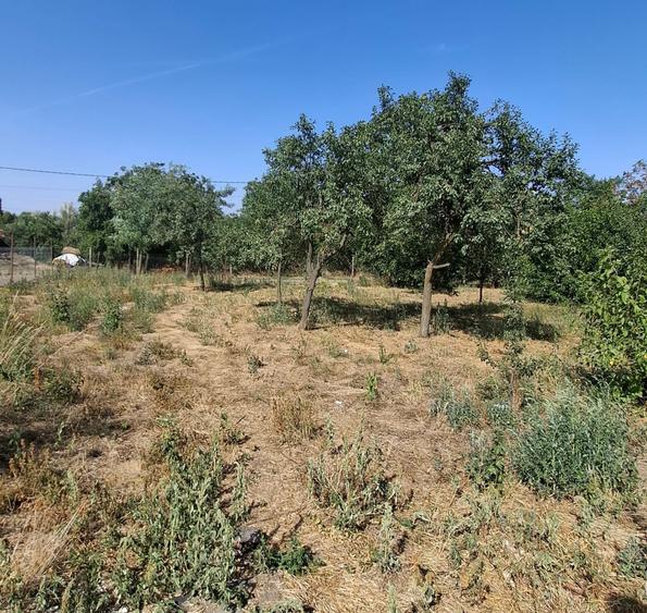 Teren Construcții de 1500 mp, în Călacea