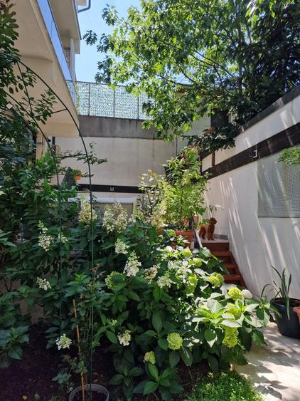 Apartament cu 3 camere decomandat în 1 Mai