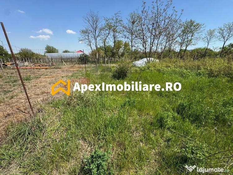 Teren intravilan de vanzare Cornetu IF | ApexImobiliare.ro - 3