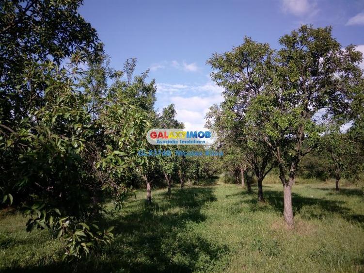 Teren Construcții intravilan de 12765 mp, în Bogați