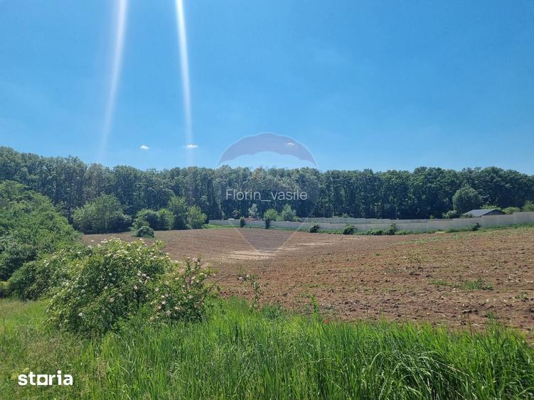 Teren 872,43 mp Snagov