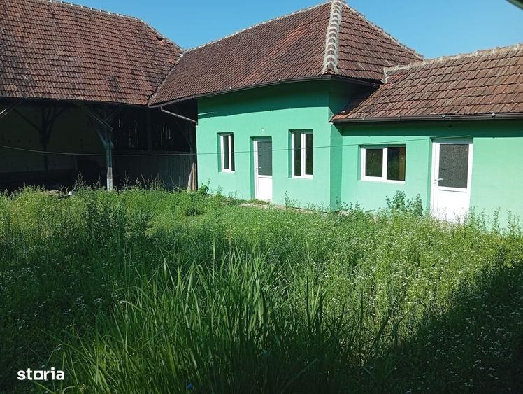 Casă cu 4 camere cu Teren 2877 Mp în Brazii