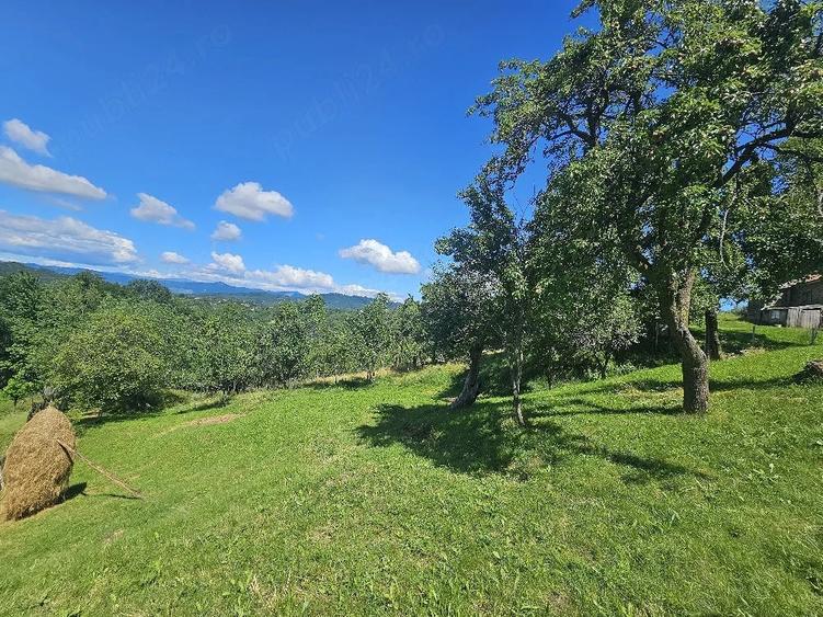 Teren de 9000 mp, în Șotrile