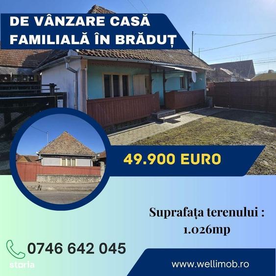 De vanzare casa familiala in Bradu? - 1