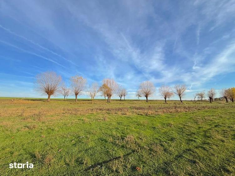 Teren de 513 mp, în Vărăști