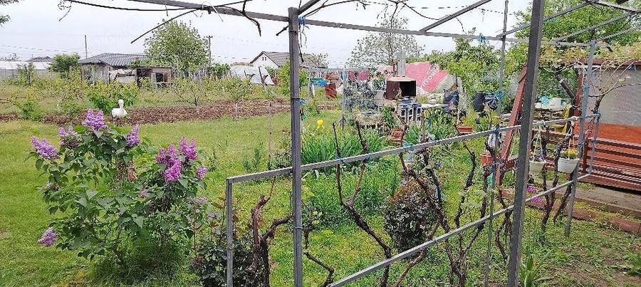 Casă cu 3 camere cu Teren 1000 Mp în Vânători