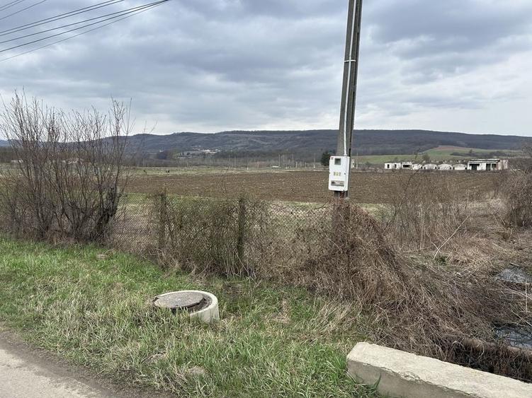Teren de 720 mp, în Plavia