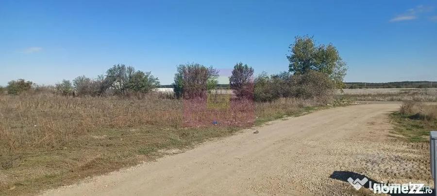 Teren de 6293 mp, în Săbăreni