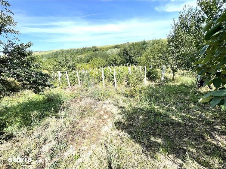 Casă cu 2 camere cu Teren 1154 Mp în Ciurea