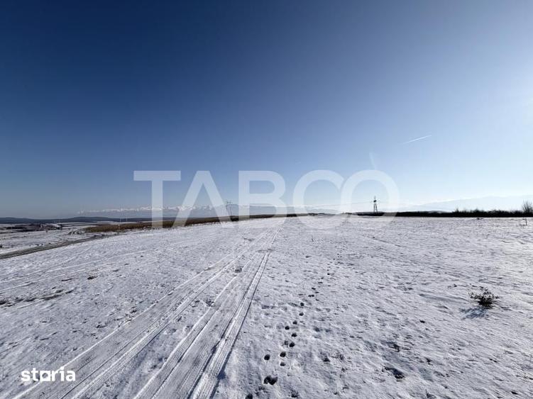 Teren de 40300 mp, în Roșia