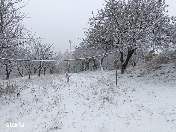 Casă cu 4 camere cu Teren 4863 Mp în Coșna