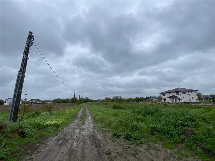Teren Construcții intravilan de 3993 mp, în Ciorogârla