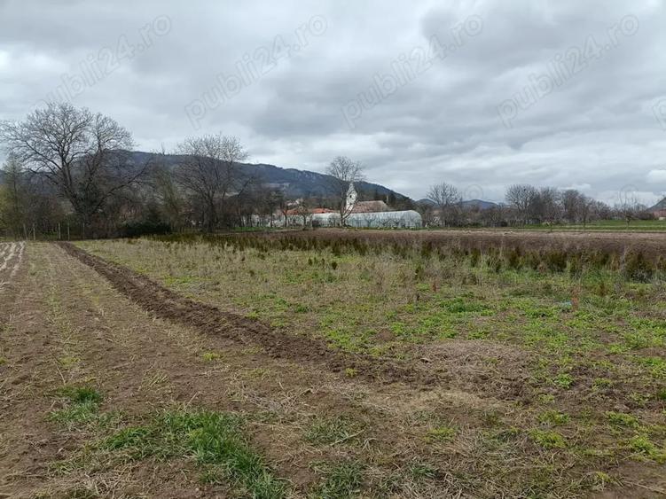 Teren de 1200 mp, în Colțești