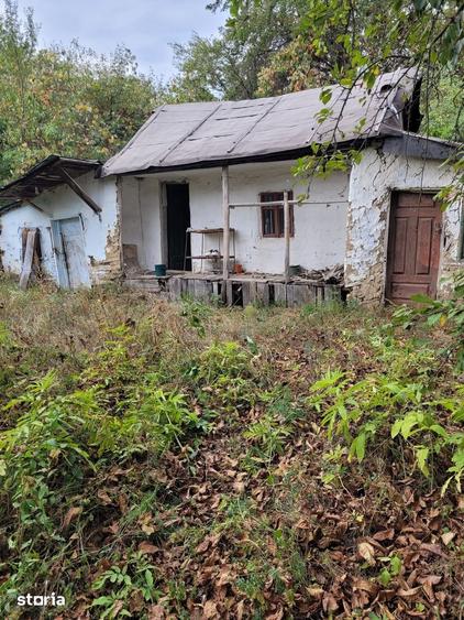 Teren de 2369 mp, în Ciomăgești