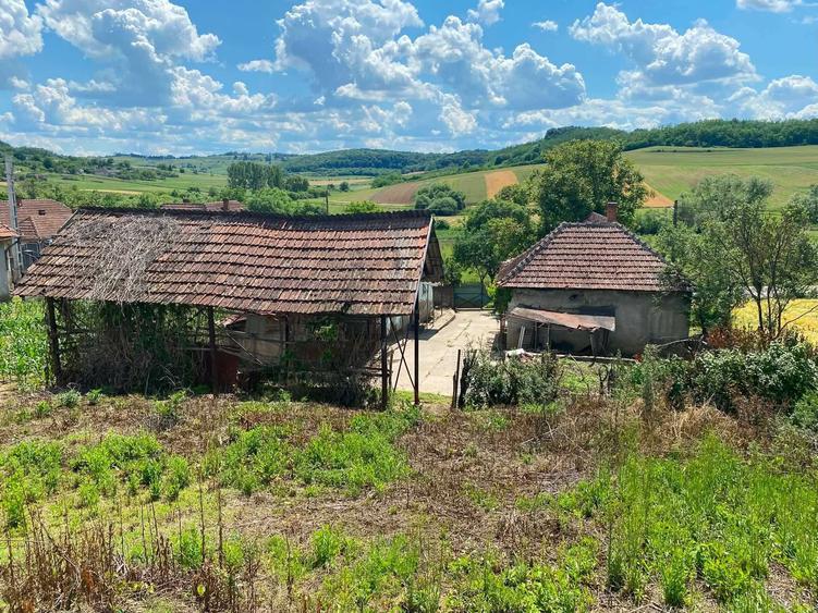 Casă cu 3 camere în Burzuc