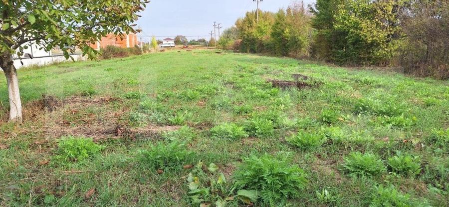 Teren Construcții intravilan de 3600 mp, în Mărtinești
