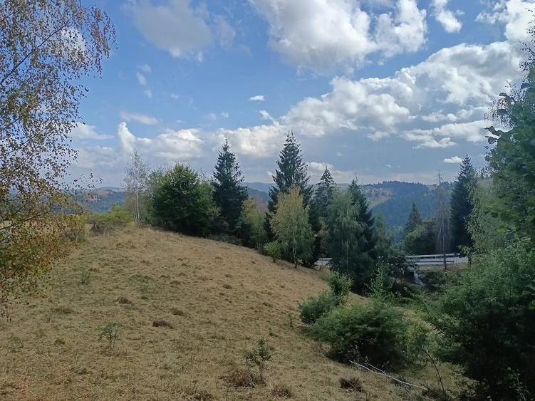 Teren de 4600 mp, în Mărișel