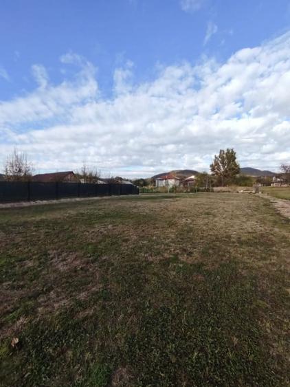 Teren de 800 mp, în Tăuții-Măgherăuș