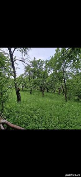 Teren de 1496 mp, în Moroeni