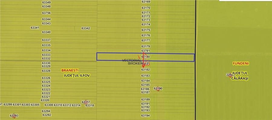 Teren agricol extravilan de 12167 mp, în Brănești