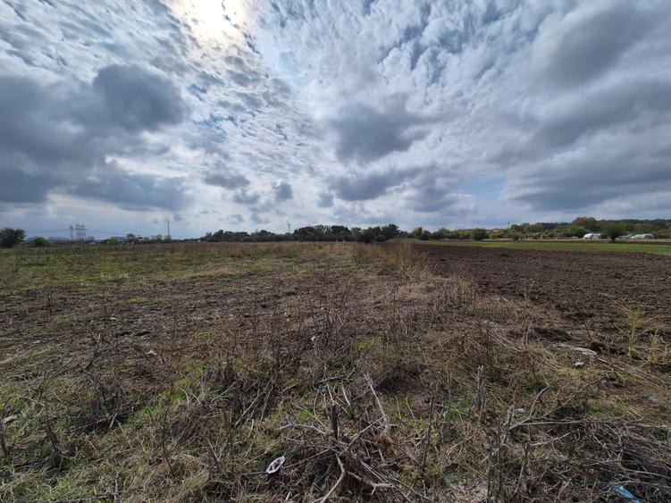 Teren Construcții extravilan de 5000 mp, în Jilava