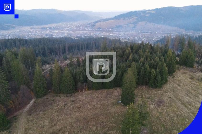 Teren extravilan de 3139 mp, în Vest
