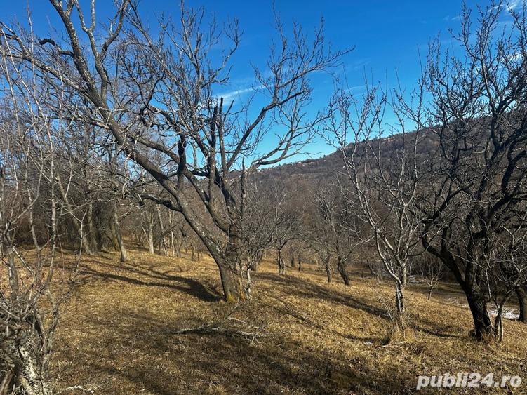 Teren de 8040 mp, în Mățău