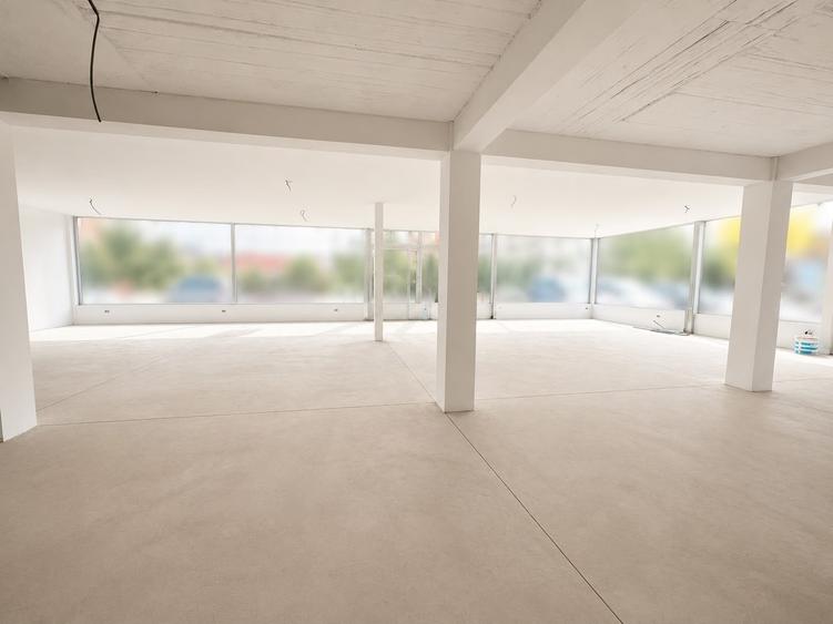 Spațiu comercial, de 280 mp, în Cantemir