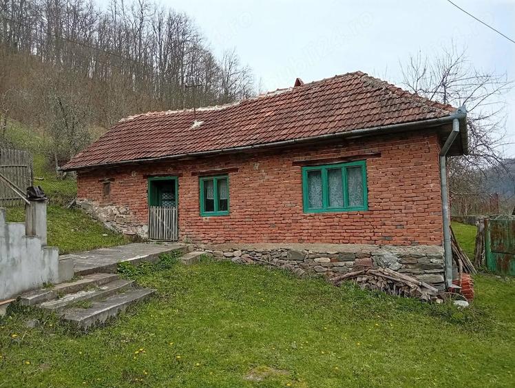 Casă cu Teren 7000 Mp în Poieni (Densuș)