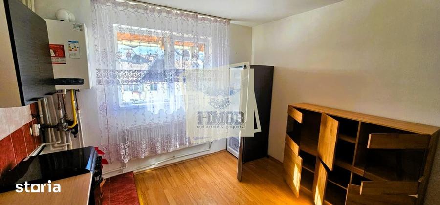 Apartament cu 2 camere, mobilat în Terezian
