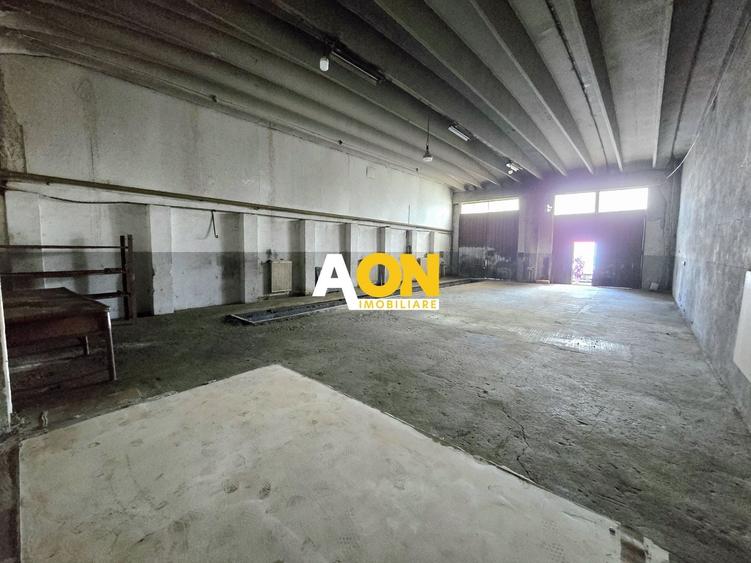 Spațiu industrial, de 170 mp, în Ampoi 3