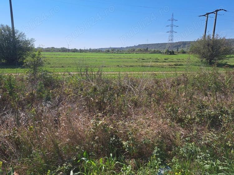 Teren de 7550 mp, în Boldești