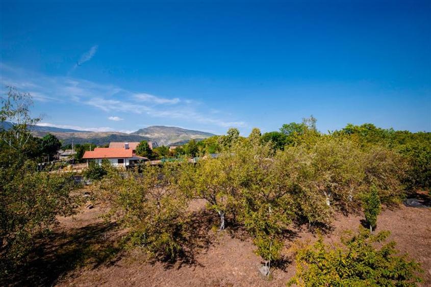Hotel/Pensiune, de 579.40002441406 mp, în Runcu