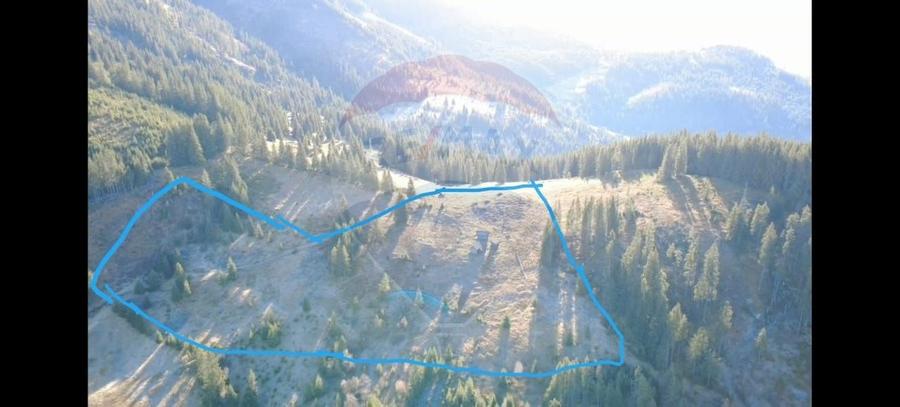 Teren 31,461mp Panaci / Prelungirea Ialovita - 1