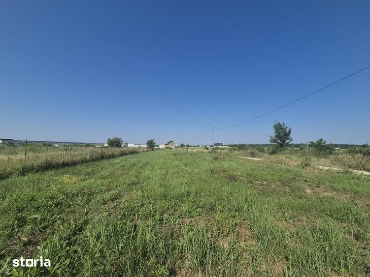 Teren de 2500 mp, în Ciolpani