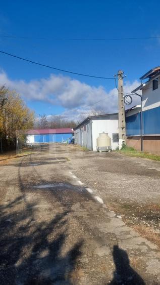 Spațiu industrial, de 4,104 mp, în Bălțești