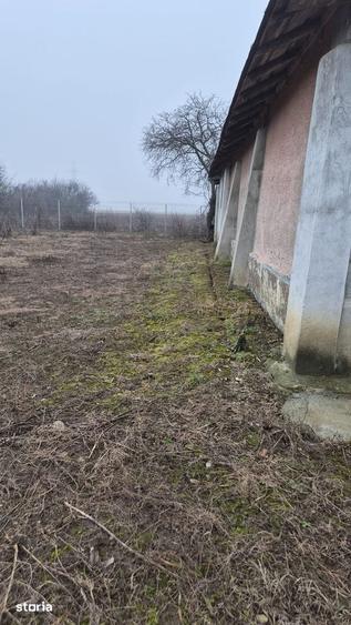 Vand teren si casa in sat Darvari jud Prahova strada principala - 4