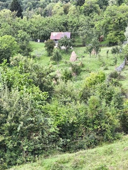 Teren de 5257 mp, în Secăria
