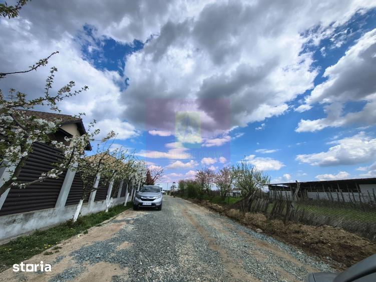 Teren de 1700 mp, în Cernica
